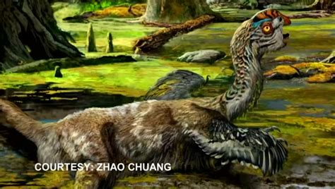 Workers in China accidentally discover new dinosaur fossil - National | Globalnews.ca