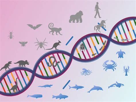 Role of Genetic Polymorphism in Human Evolution and Survival – Genetic Education