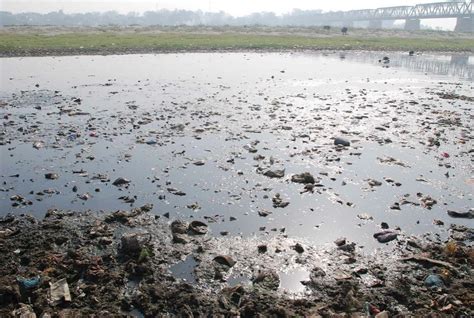 Kaveri River Pollution