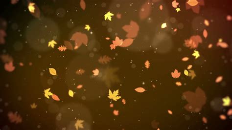 Autumn Leaf Background Autumn Leaf Stock Motion Graphics SBV-348714968 ...