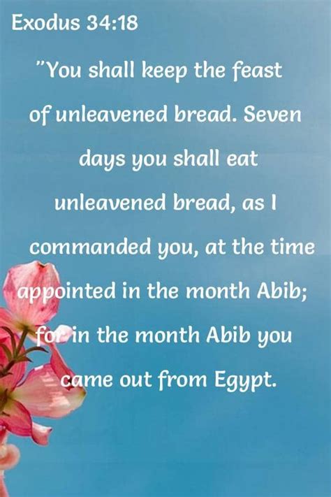 World English Bible - Verses About abib - Exodus 34:18 | Bible verses ...