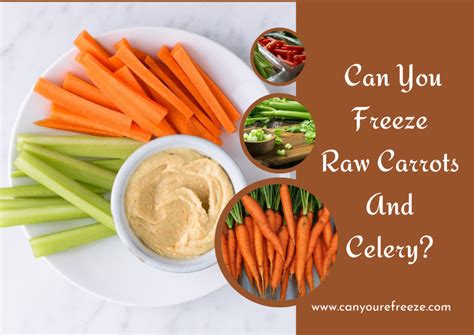 Can You Freeze Raw Carrots And Celery? Tips And Tricks To Know For Freezing! - Can You Refreeze