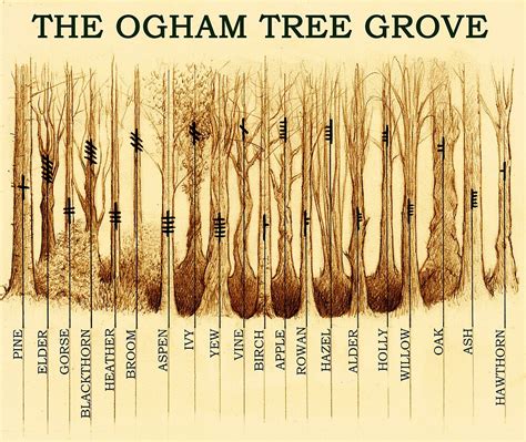 "Ogham Tree Grove" by Yuri Leitch | Redbubble