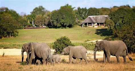 Inyati Safari Lodge in Sabi Sands Game Reserve - Kruger National Park South Africa luxury safari