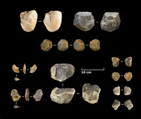 Homo Habilis Tools