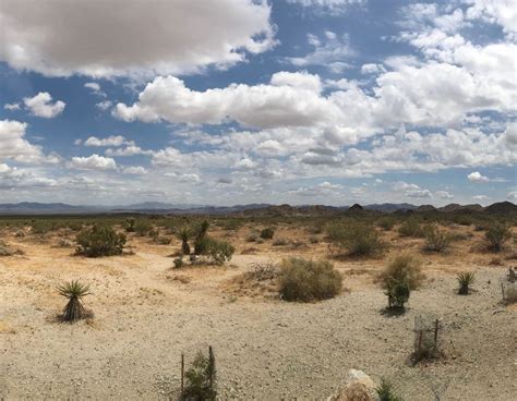 Desert Ecosystems | Exploring the World's Driest Landscapes | edZOOcating