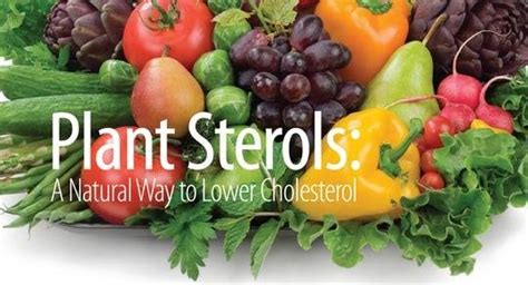 Lower Your Cholesterol with Plant Sterols