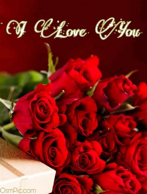 50 Most Beautiful I Love You Roses Images Pics Of Love Roses For Lovers