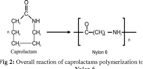 Figure 2 from System Identification of Nylon-6 Caprolactam Polymerization Process | Semantic Scholar