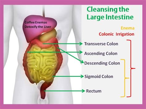 Colon Hydrotherapy Benefits | Colonic Irrigation & Colonic Implants - Hilo