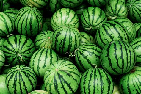 How to Grow Watermelons