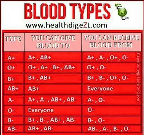 Blood types | Escuelas de medicina, Medicina humana, Salud humana