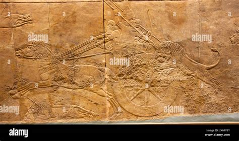 Lion Hunt of Ashurbanipal. British Museum, London, England Stock Photo ...