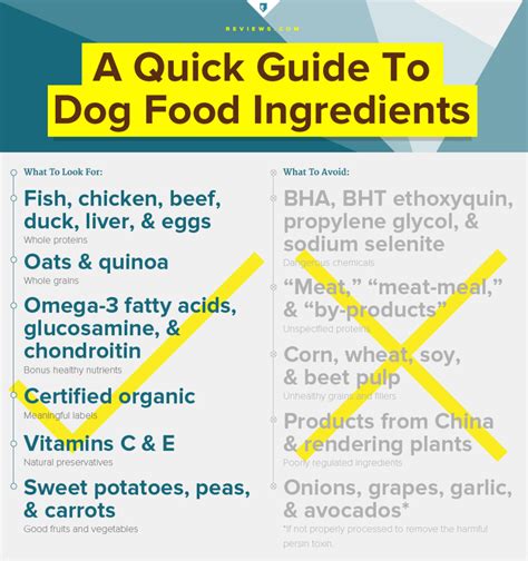 Company Researches 2,200 Dog Food Formulas And Finds ONLY 119 To Be ...