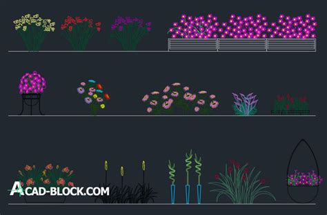 pedir disculpas docena cortina flower autocad block difícil nariz canto