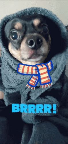 Brrr Cold GIF - Brrr Cold So Cute - Discover & Share GIFs