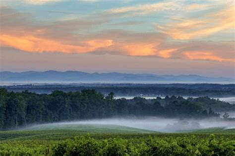 Barboursville Vineyards - Wine and Country Life