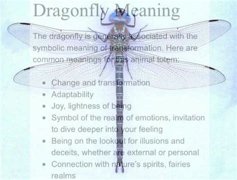 Dragonfly Meaning | Dragonfly meaning, Dragonfly symbolism, Dragonfly quotes