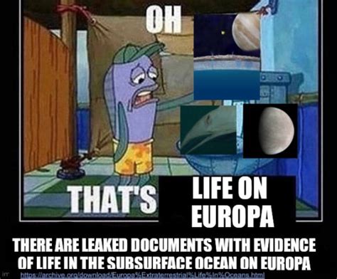 oh that's life on europa there are leaked documents with evidence of in the subsurface ocean on ...