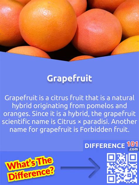 Grapefruit vs Pomelo: 6 Key Differences, Pros & Cons, Examples | Difference 101