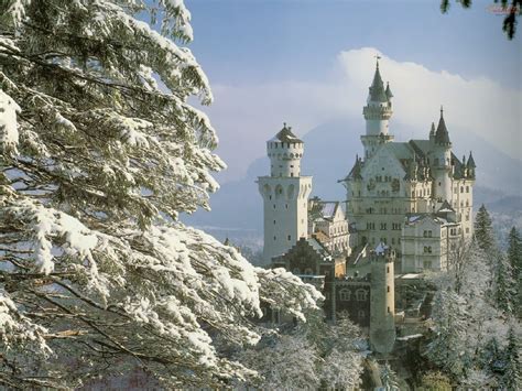 Neuschwanstein Castle Bavaria Germany - forest snow picture, Neuschwanstein Castle Bavaria ...