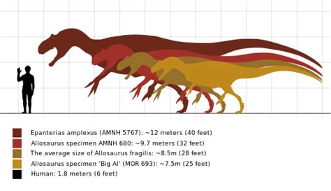 Allosaurus vs Tyrannosaurus - Difference and Comparison | Diffen