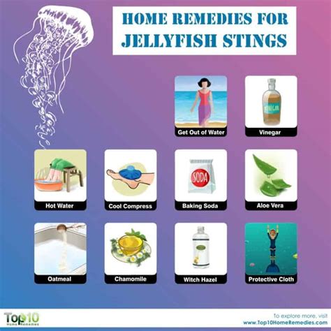 Home Remedies for Jellyfish Stings | Top 10 Home Remedies