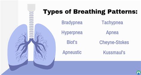 Breathing Patterns in Respiratory Care (Practice Questions) | Test Bank