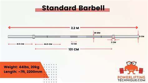 How Much Does A Squat Bar Weigh? 7 Types Explained ...