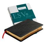 ESV Cambridge Pitt Minion Reference Bible, Black Goatskin Leather