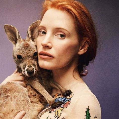 Jessica Chastain, Beach Wear, Middle Age, Hollywood, Kangaroo, Actresses, Gorgeous, Celebrities ...