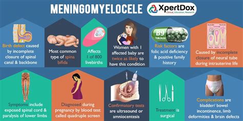 Myelomeningocele is the most severe form of spina bifida. It happens when parts of the spinal ...