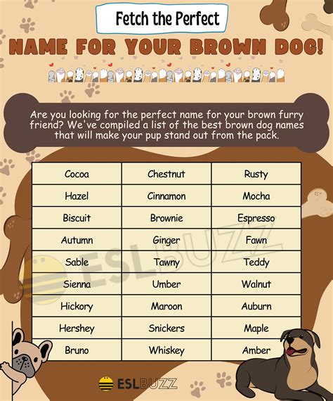 Brown Dog Names: The Ultimate List for Your Furry Friend's Moniker ...