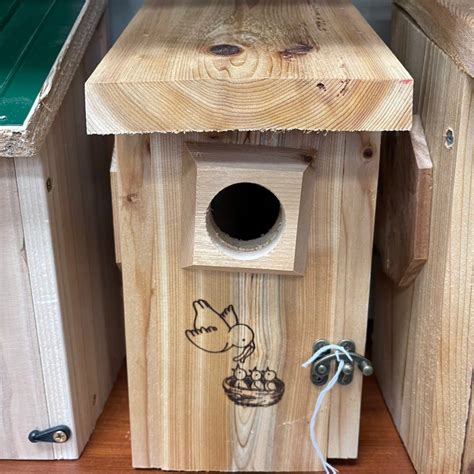 Chickadee Bird House - Bird Watching Academy