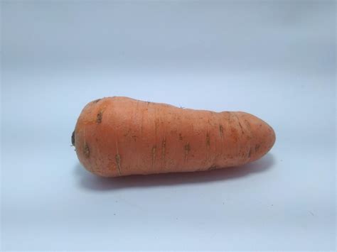 Carrot isolated on white background 6892316 Stock Photo at Vecteezy