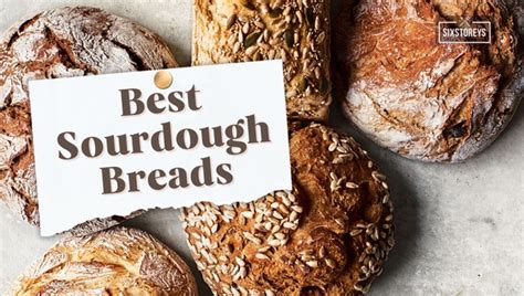 17 Best Sourdough Bread Brands Ranked 2024 [Bread Bonanza]