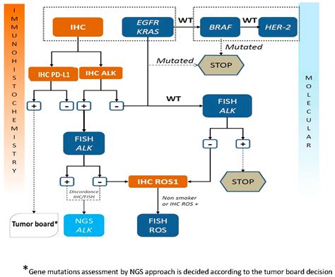 Cancers | Free Full-Text | ALK in Non-Small Cell Lung Cancer (NSCLC) Pathobiology, Epidemiology ...