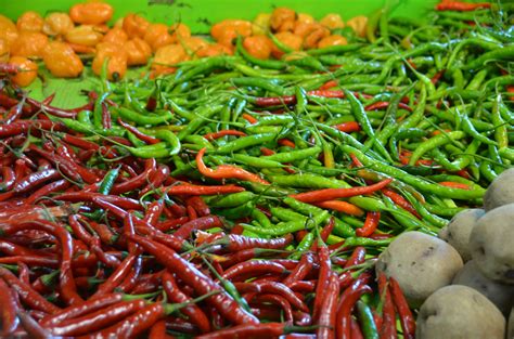 Fall harvest vegetables at Darnell Farms. | Vegetables, Green beans, Fall harvest