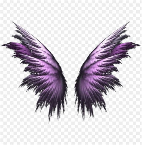 angel wings png - purple angel wings PNG image with transparent ...