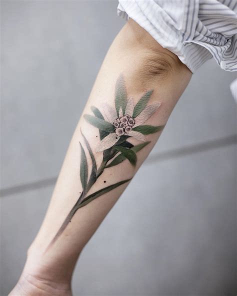 Edelweiss tattoo by tattooist Chenjie - Tattoogrid.net