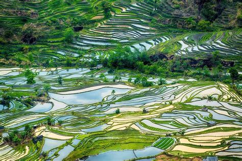 China’s rice terraces — The most beautiful in the world | Rice terraces ...