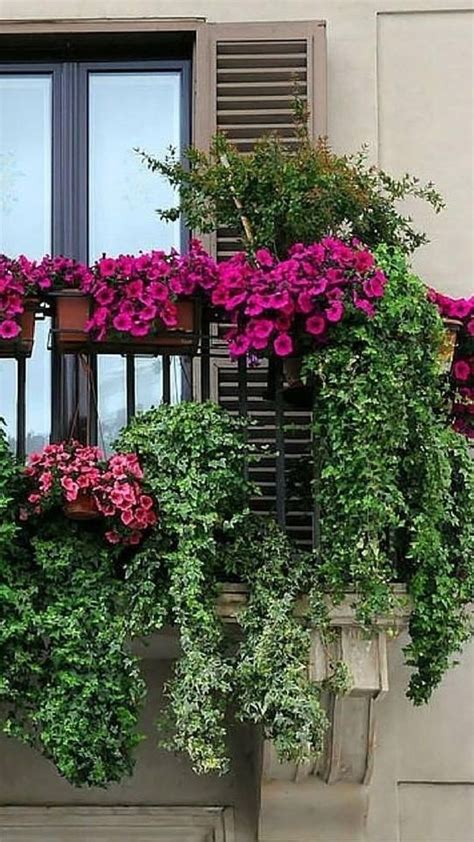 Beautiful ideas to decorate your balcony with flowers 🌺🌸🌼 | Balcony flower box, Balcony plants ...