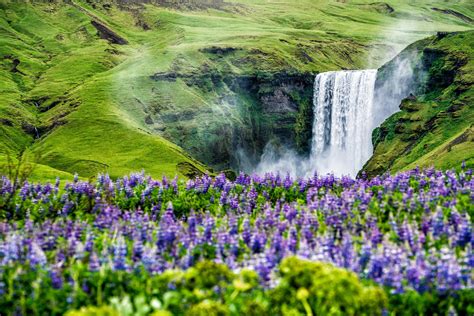 How to Respect Nature in Iceland | Reykjavik Rent a Car