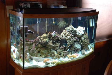 Samples of Salt Water Fish Tanks - Only At Feldman's Aquarium Maintenance