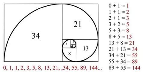 FIBONACCI SYSTEM ROULETTE