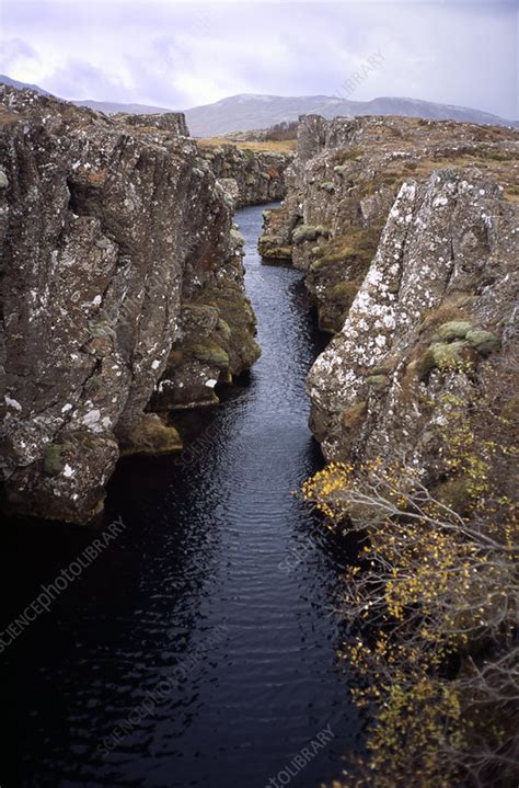 Thingvellir rift valley - Stock Image - E350/0080 - Science Photo Library