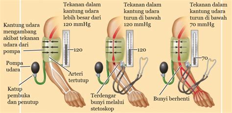 Cara Menghitung Tekanan Darah Manual – Ujian