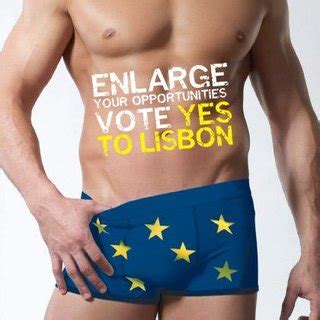 Young Fine Gael Campaign for Europe posters. Source: Fine Gael HQ ...