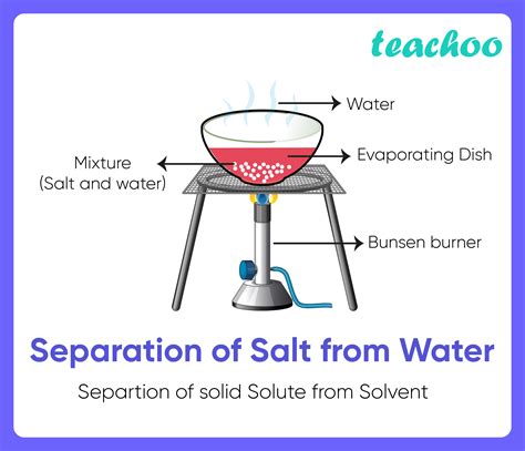 11+ Examples of Evaporation in our daily life (Explained!) - Teachoo