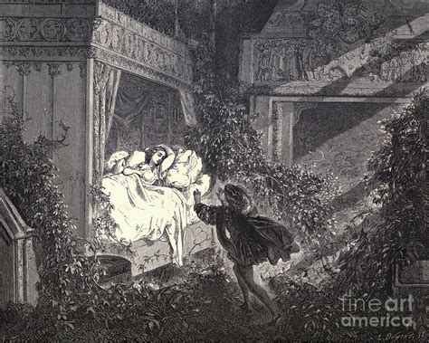 Sleeping Beauty fairy tale By Dore w4 Drawing by Historic illustrations